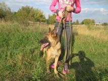 Альфа (г. Речица) Альфа (г. Речица)