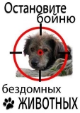            !