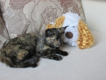 Котенок-подросток Мурзик Котенок-подросток Мурзик