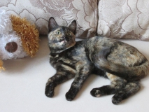 Котенок-подросток Мурзик Котенок-подросток Мурзик