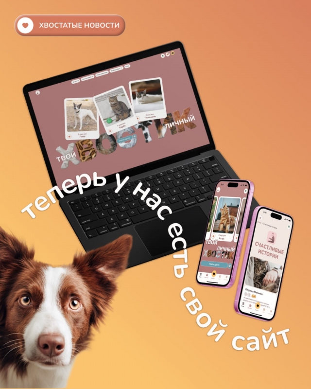 � ��� ����� ����!