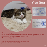 ����� 2026