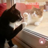 ����� 2026