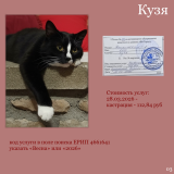 ����� 2026