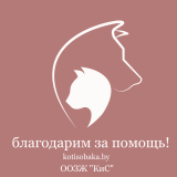 ����� 2026