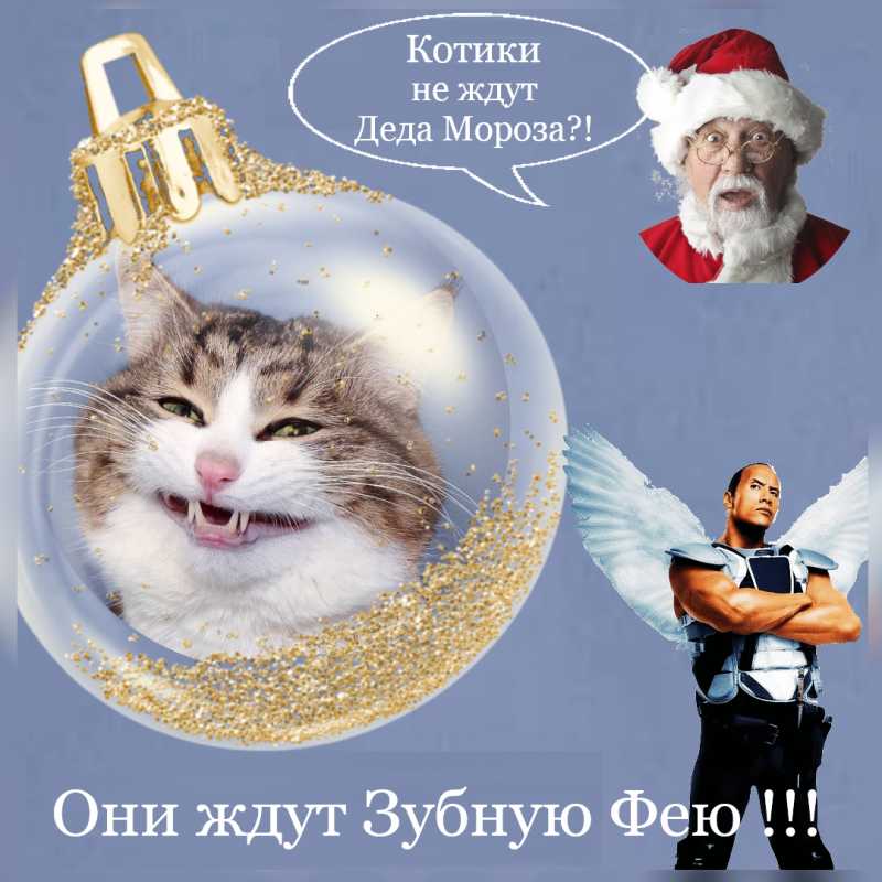 ������ ���� ������ ���!