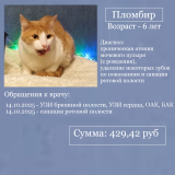 ������ ���� ������ ���!