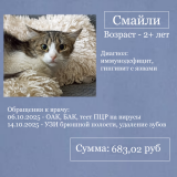 ������ ���� ������ ���!