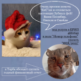 ������ ���� ������ ���!