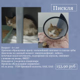 ������ ���� ������ ���!