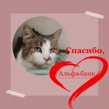 ������� �����-����!